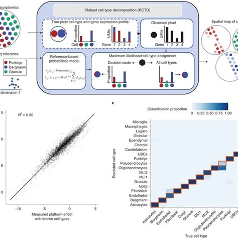 rctd 526|Robust decomposition of cell type mixtures in spatial ...